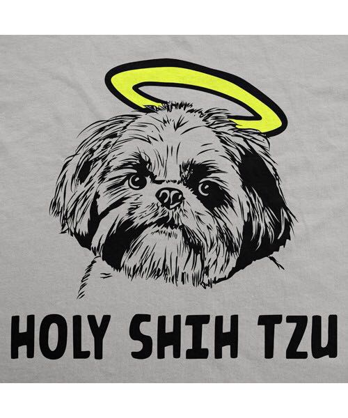 beccysc's tweet image. And so it is#pugcross#shug#puppy