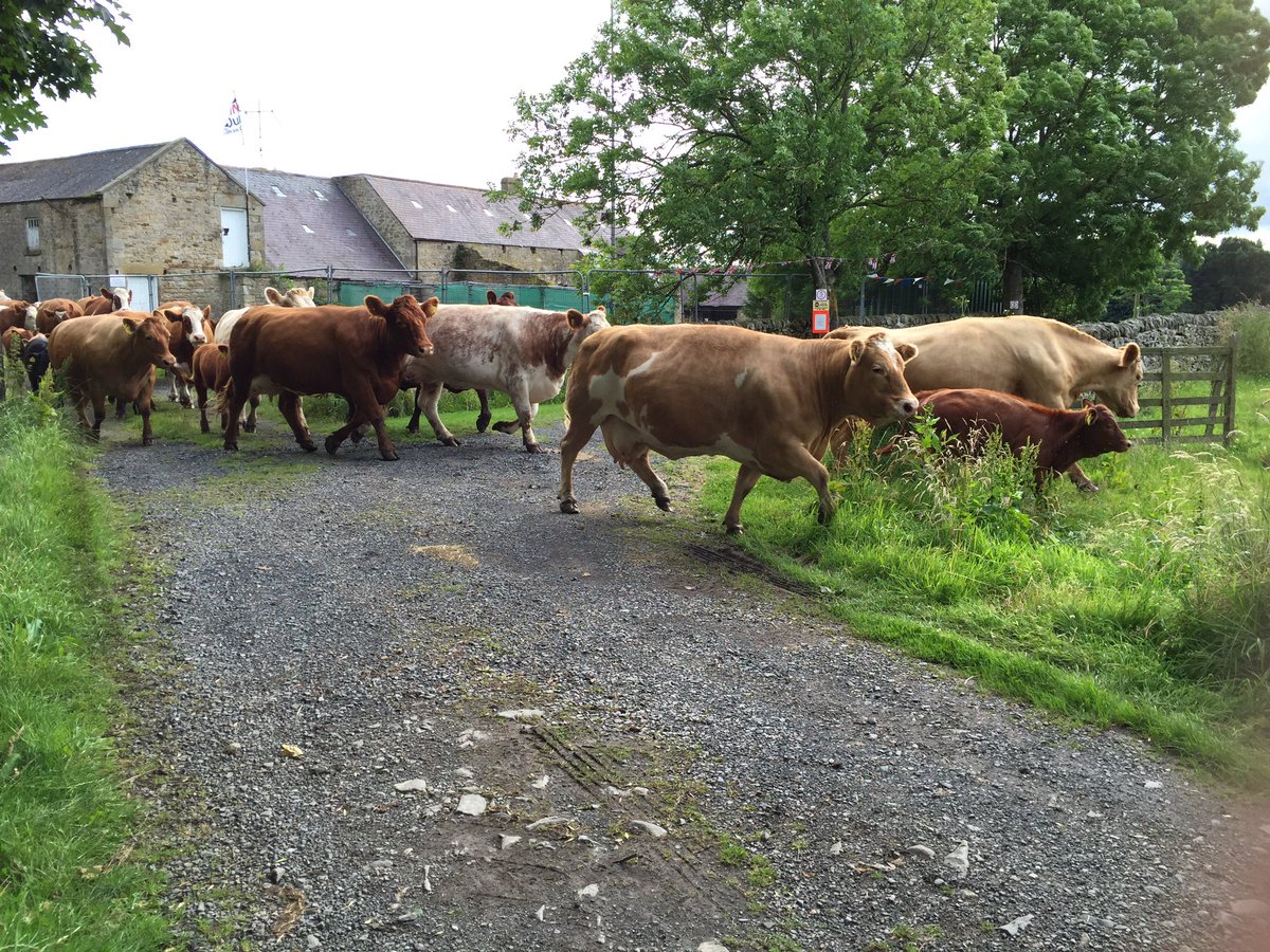 Andrew Robinson tweet media