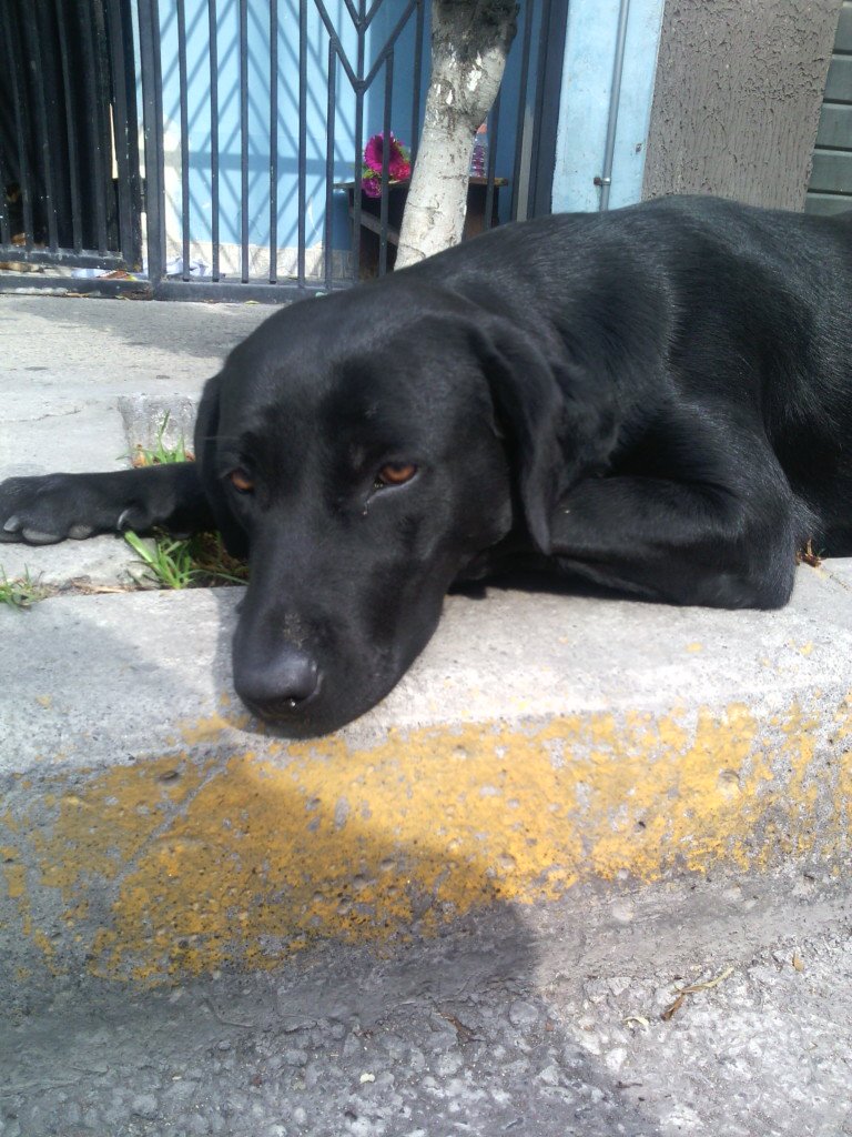 Danmedea tweet picture