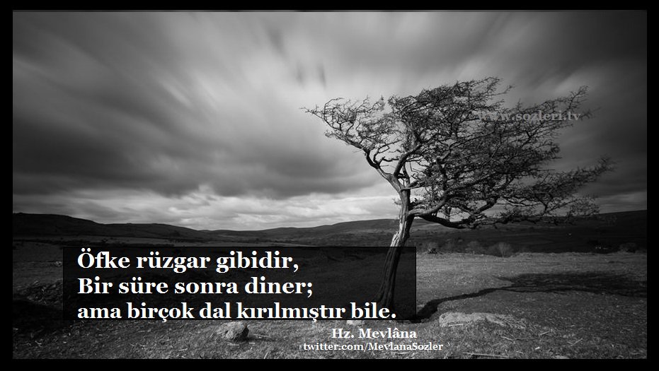 Öfke rüzgar gibidir, bir süre sonra diner; ama birçok dal kırılmıştır bile.

Hz. Mevlâna