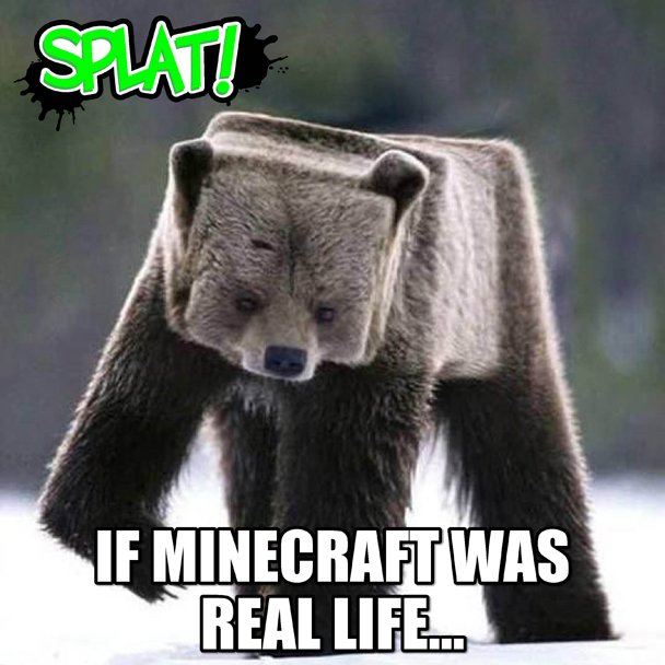 splatmag's tweet photo. Are we the only ones who sometimes wish #Minecraft was real? #SplatMag https://t.co/PxrF0sgICI