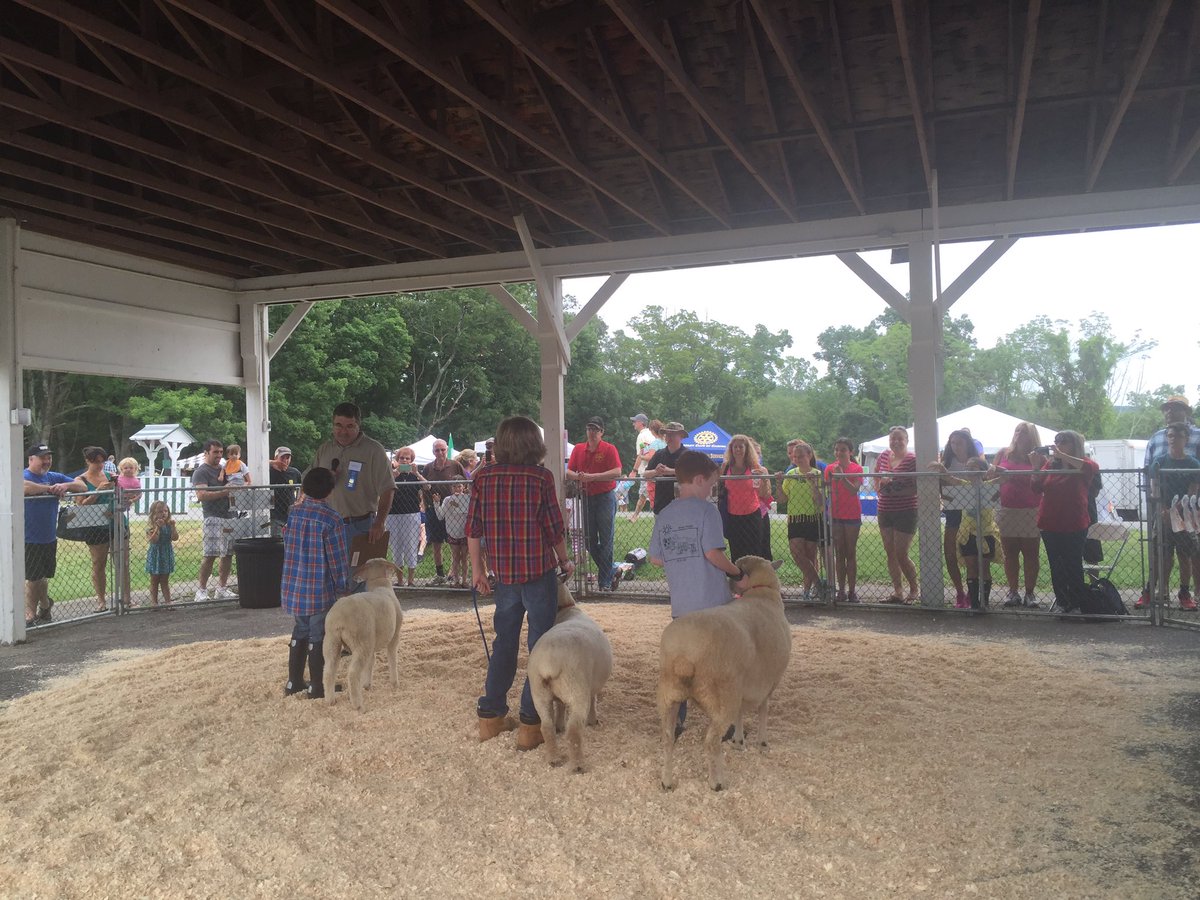 auntytem's tweet photo. #ThreeShepherds and their junior sheep @4h @GreenChimneys https://t.co/rKV57uhnEy