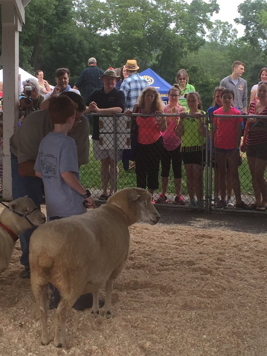 auntytem's tweet photo. #ThreeShepherds and their junior sheep @4h @GreenChimneys https://t.co/rKV57uhnEy