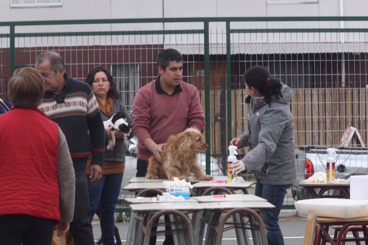 TalcaJuntoaTi's tweet photo. Operativo completo en Villas El Parque. Estamos atendiendo a sus mascotas en 18 Norte 16 Oriente hasta las 13:00. https://t.co/hL5zDfqoTV