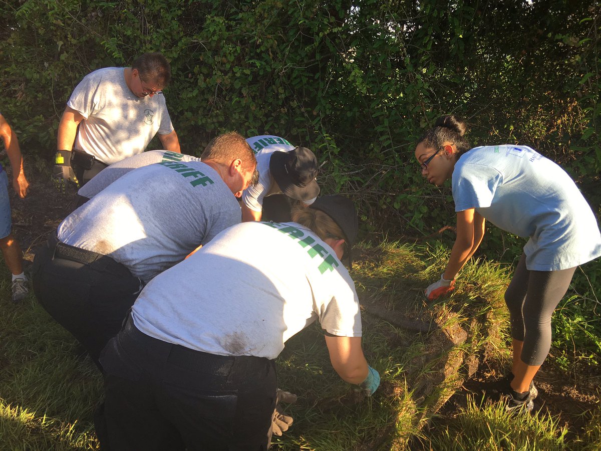 SarasotaSheriff's tweet photo. SCSO personnel volunteer w/@HFH_So_Sarasota to lay sod at Eileen's new home in North Port! #SCSOService #LESM https://t.co/MeWPHrfWdZ
