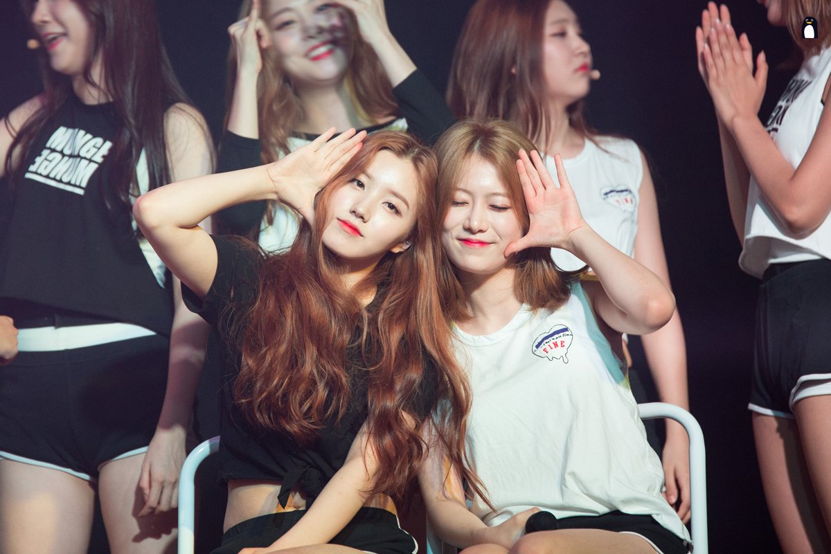 001114_p's tweet photo. 160730 플레디스걸즈 콘서트 박시연 강예빈 #플레디스걸즈 #박시연 #강예빈 #PledisGirlz https://t.co/CFO6Hts4R7