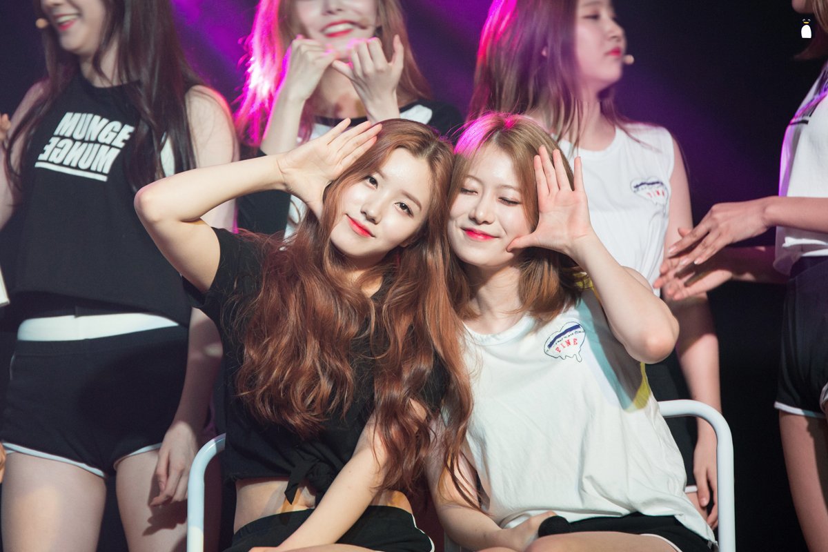 001114_p's tweet photo. 160730 플레디스걸즈 콘서트 박시연 강예빈 #플레디스걸즈 #박시연 #강예빈 #PledisGirlz https://t.co/CFO6Hts4R7