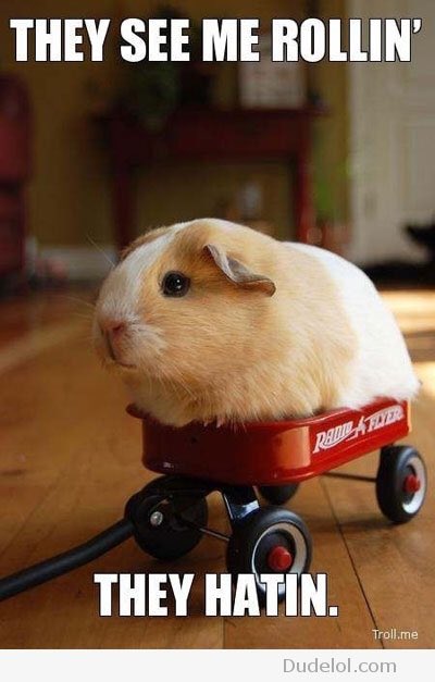 Kelly Lusk tweet media