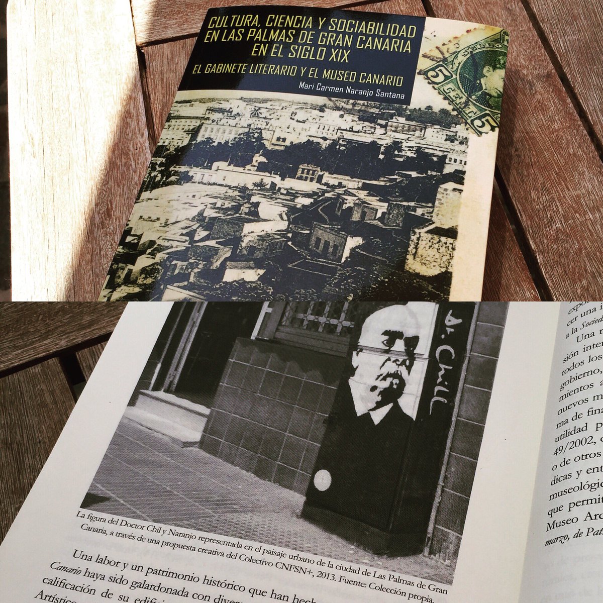 'Cultura ciencia y sociabilidad en lasPalmas de GranCanaria en el siglo XIX.El Gabinete Literario y el MuseoCanario'