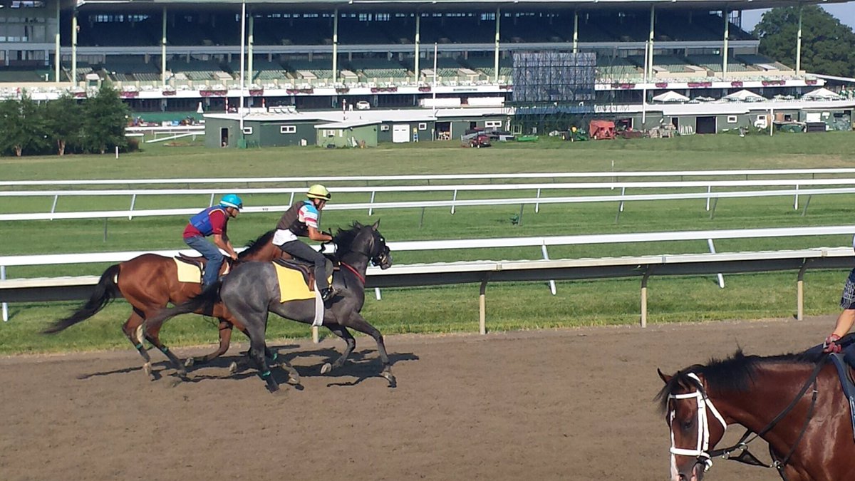 kenwoodracing's tweet photo. #Tizway colt Lead Investor (gray) and #AwesomeofCourse filly Lady TuTu @MonmouthPark this morning. https://t.co/UoI6igc23O