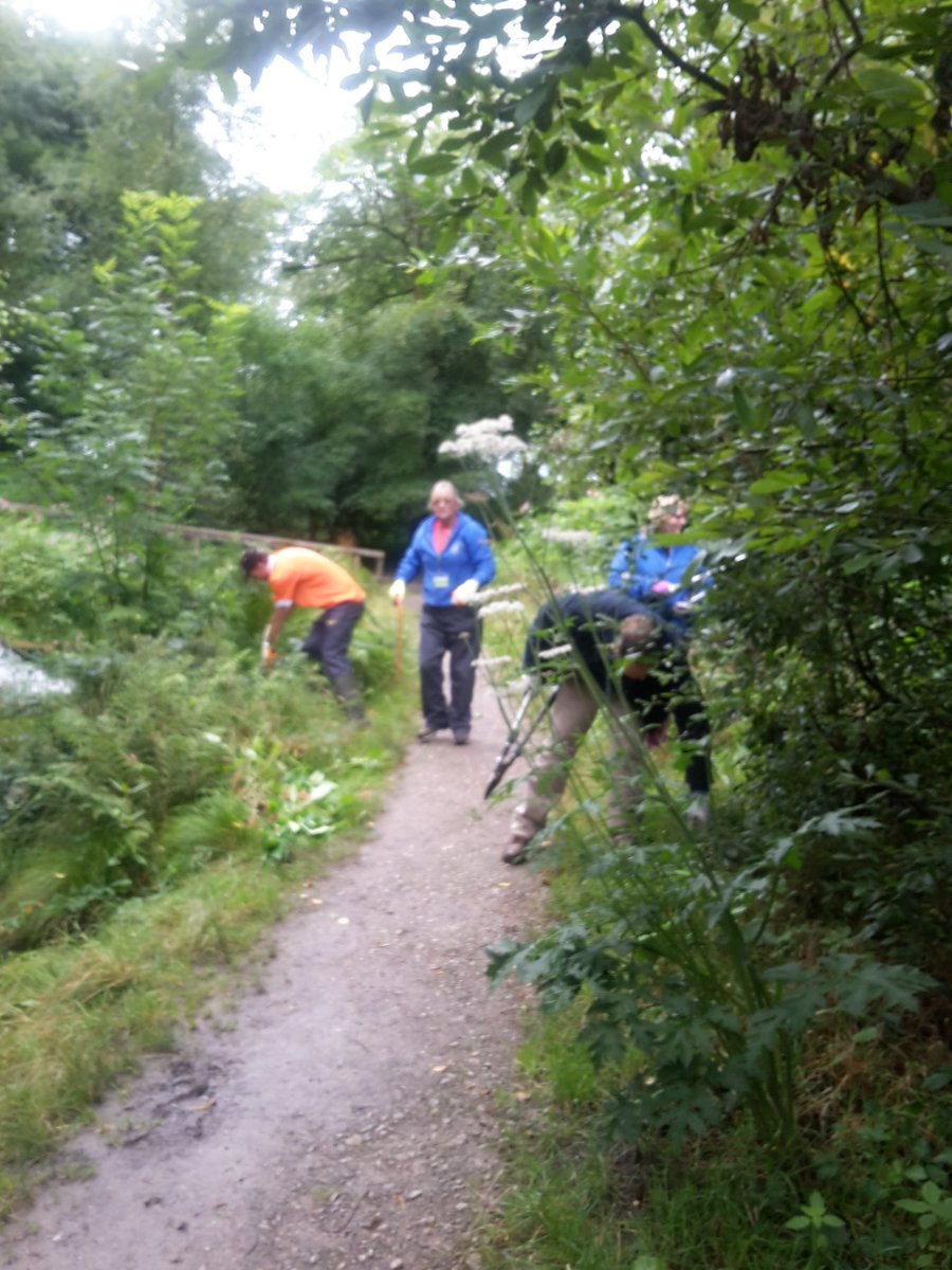 groundworkGG4H's tweet photo. Job well done! Gnoll Action Day footpath clearing! Join us the last Saturday of every month! #Neath #getoutdoors https://t.co/dgOm7MOmns