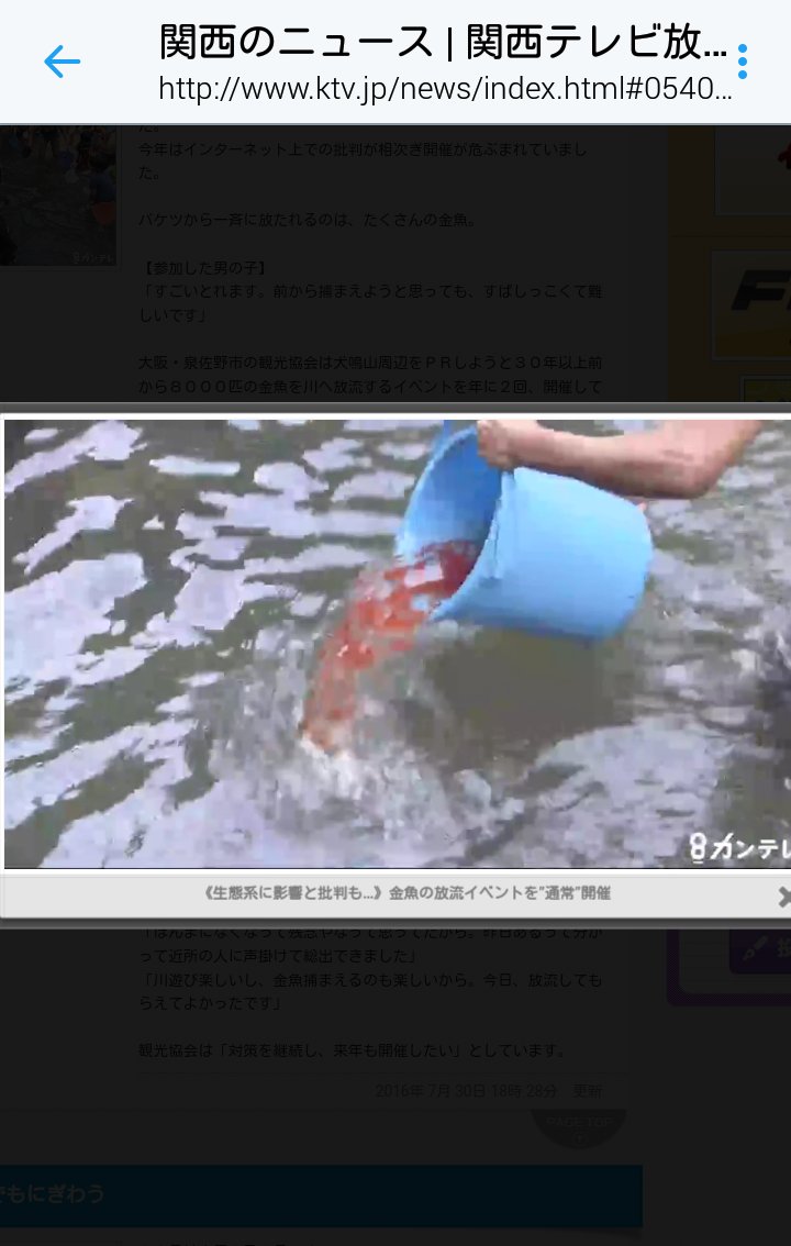 あわれ金魚 放流イベントに驚く人々 Togetter