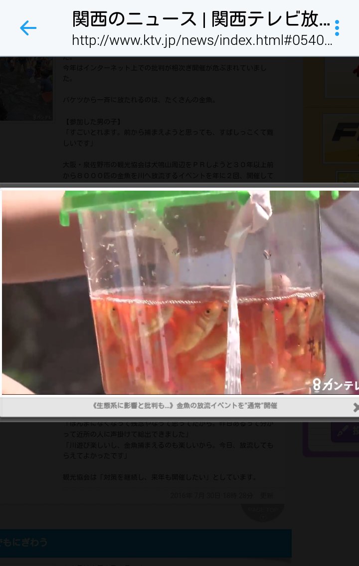あわれ金魚 放流イベントに驚く人々 Togetter あわれ金魚 放流イベントに驚く人々 Togetter