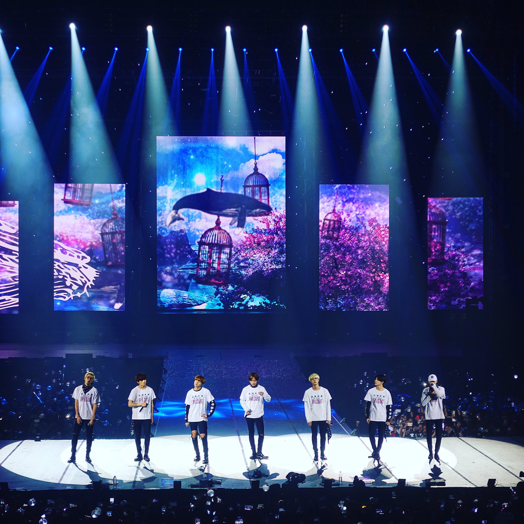[Picture/Media] BTS at 2016 BTS LIVE ‘화양연화 On Stage