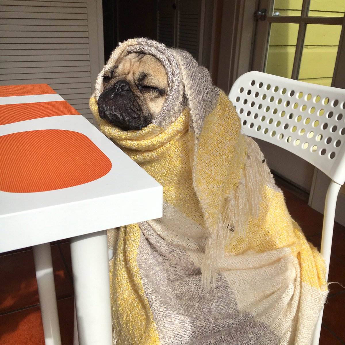 Not in the mood to socialize today