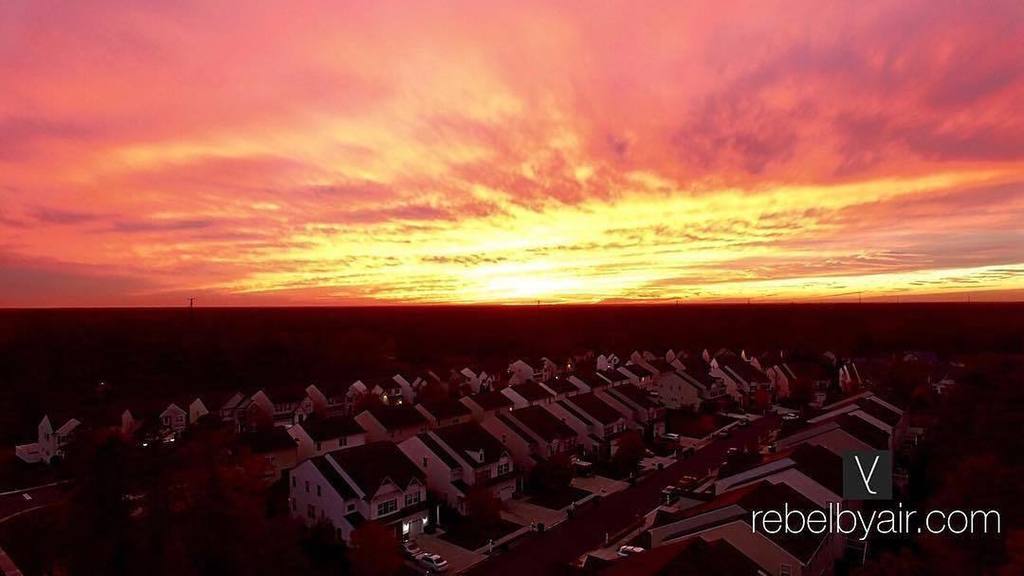 everything i did tweet media