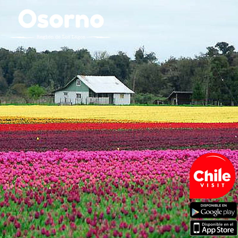 ChileVisit tweet picture