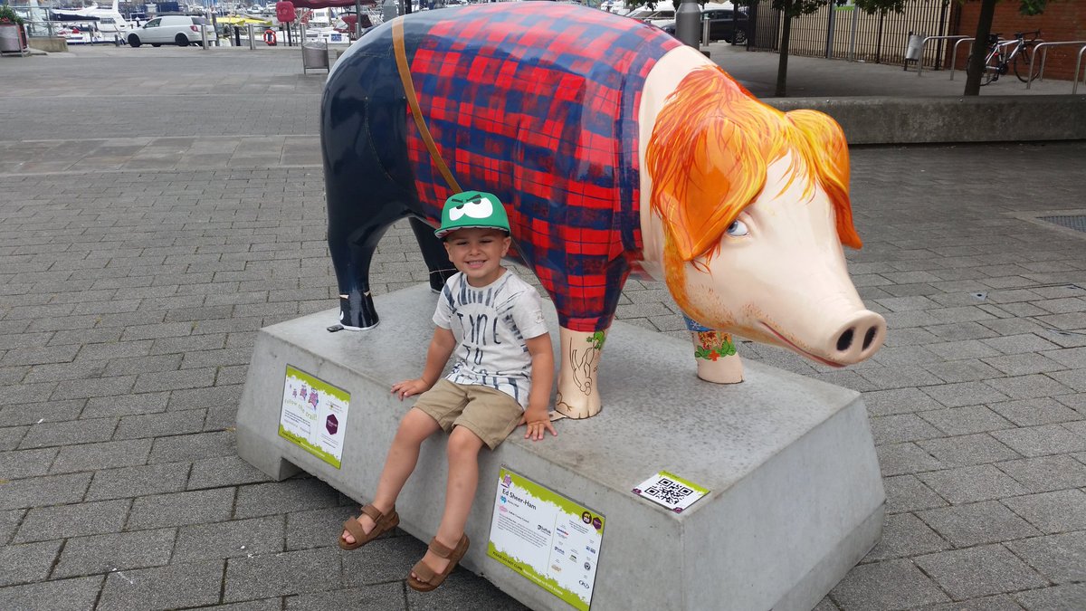 Little_lee82's tweet photo. Back again for another photo with @Ed_Sheerham #pigsgonewild #Ipswich https://t.co/7ME8JgVUoB