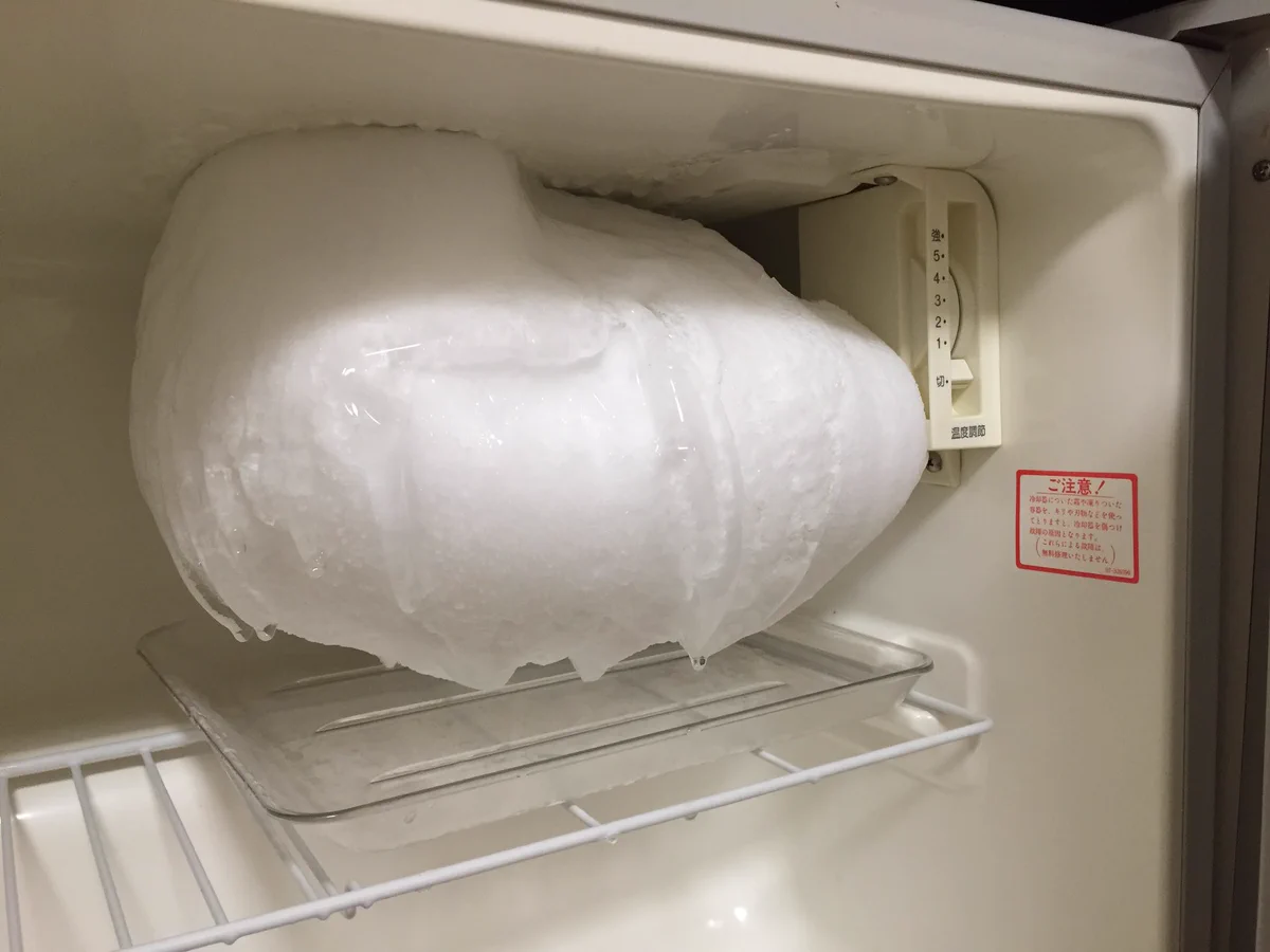 安物の冷蔵庫の冷凍室は手入れしないとこうなりますｗｗｗ