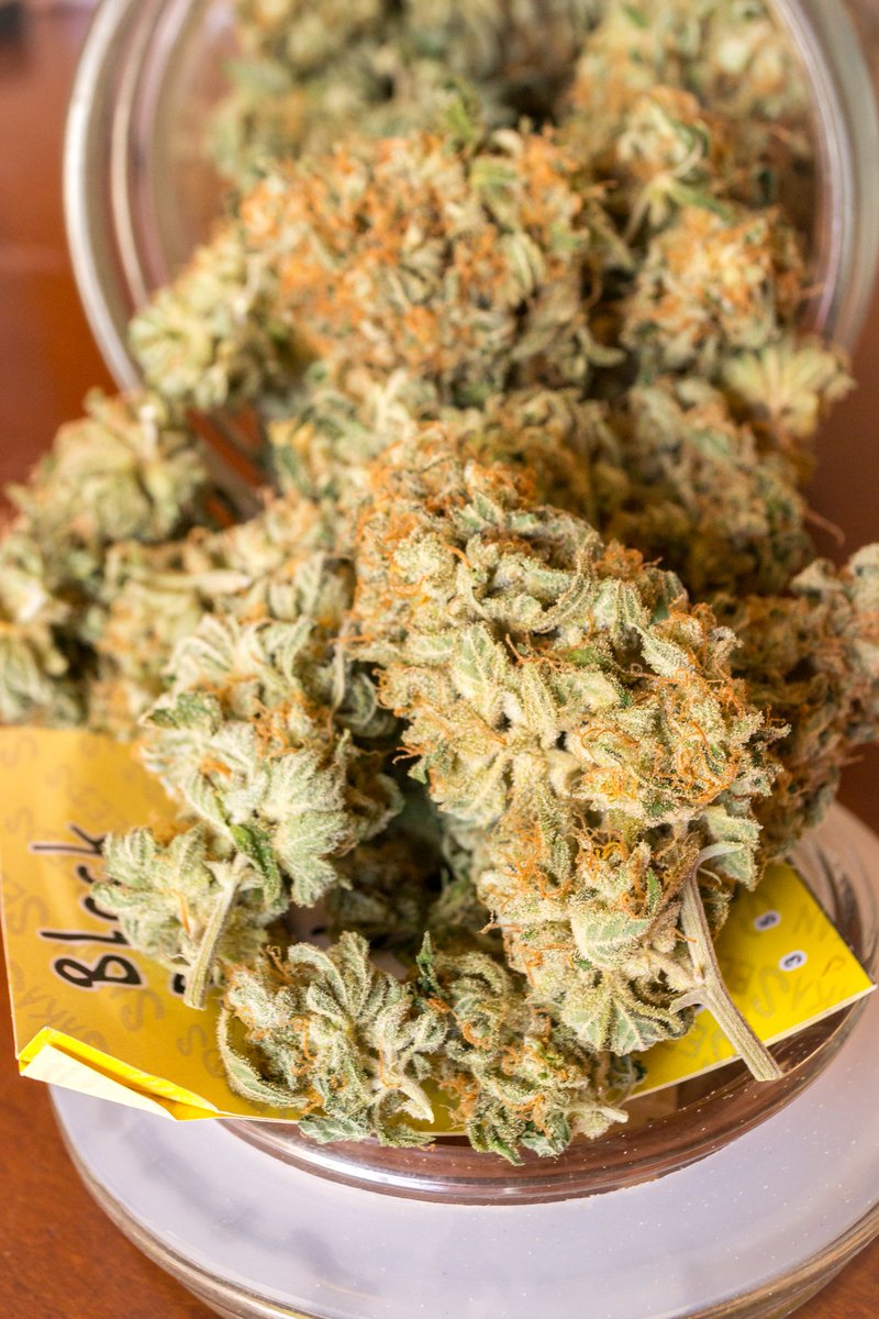 SakanSeeds's tweet photo. #BlackSakan #SakanSeeds https://t.co/ip1rvcItiI