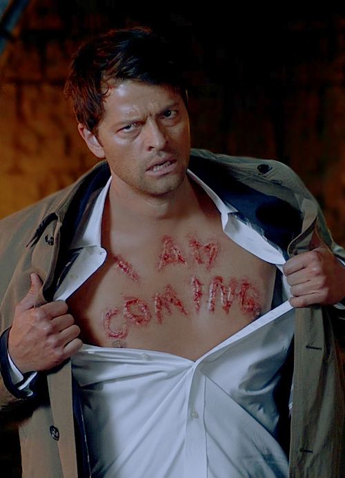 bowleggednerd's tweet photo. gishwhes be like https://t.co/HZGCmLmTN4
