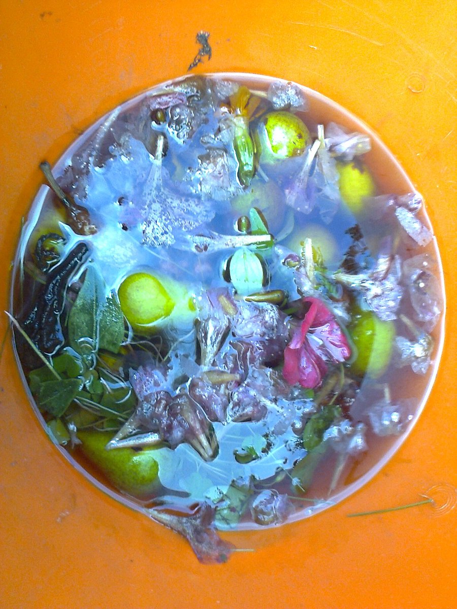 LarryMcGinity's tweet photo. From a new series of photos called #bucketart, different coloured buckets with #garden detritus https://t.co/K8ja7p8Ywv