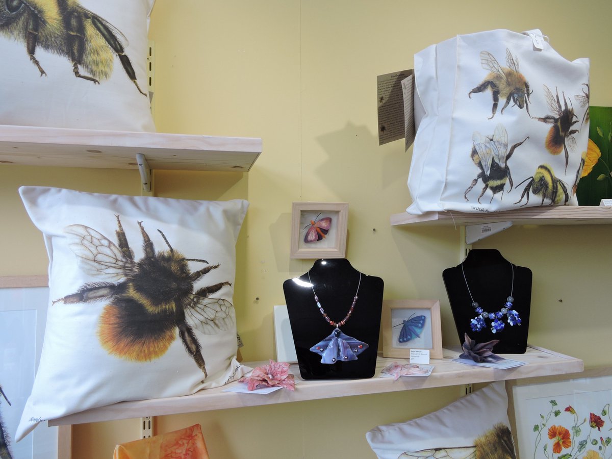 GalleryBlossoms's tweet photo. Botanical's, Birds, Bees &amp; Butterflies at Oriel Blossoms. Don't miss seeing Nature celebrated through Art today... https://t.co/iSun2LVq9O