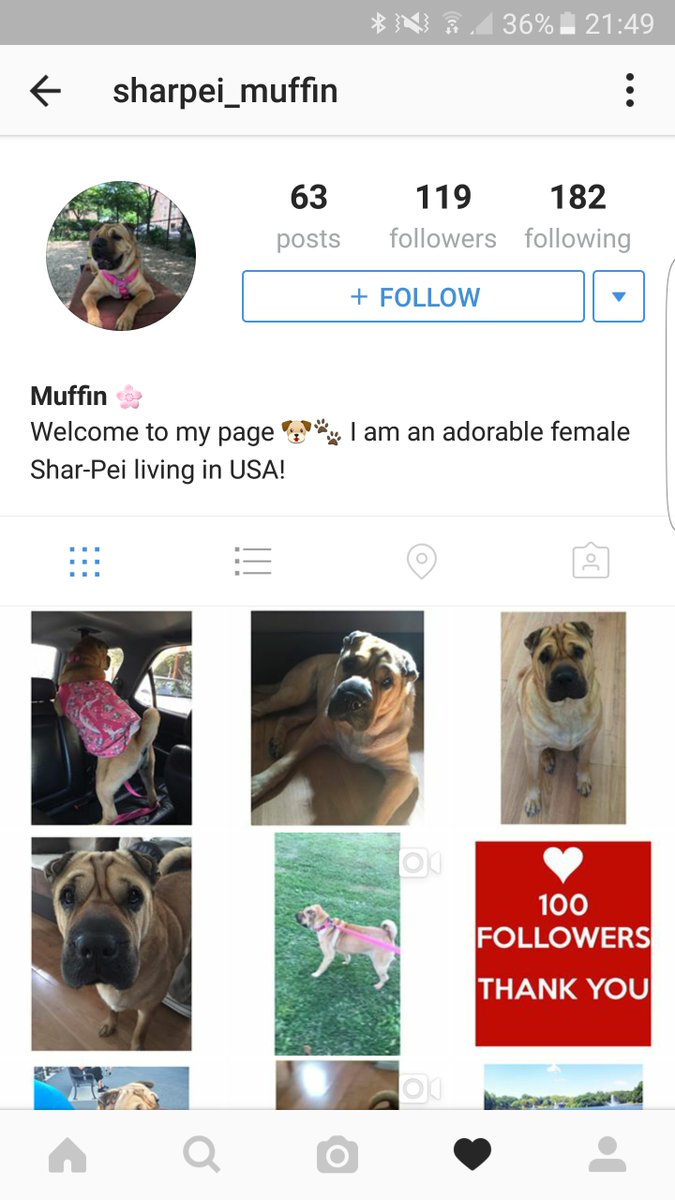 WanderingEnviro's tweet photo. @MuffinAdvicePug  is this a friend of yours https://t.co/jt88PIfcN8