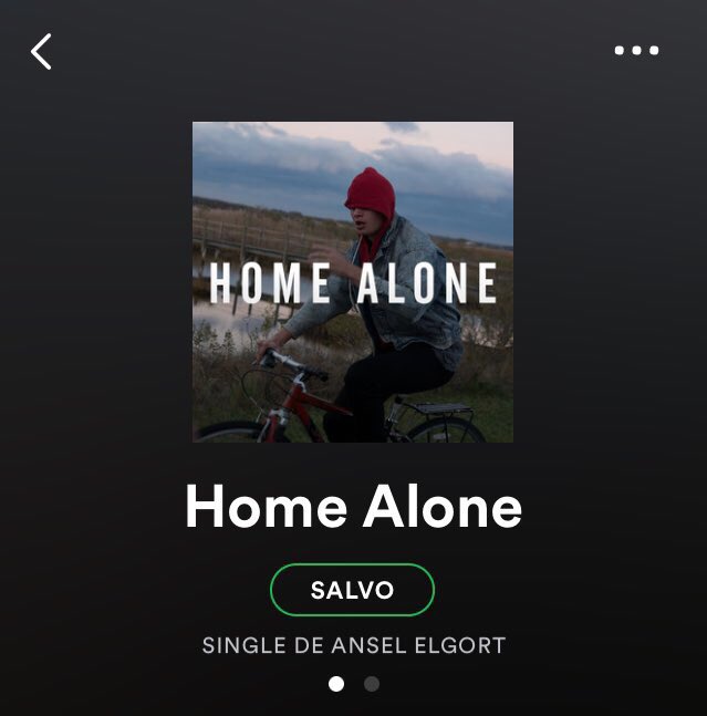 Gdgurgel_'s tweet photo. I can't stop listening #HomeAlone by @AnselElgort https://t.co/3NywM73dYe