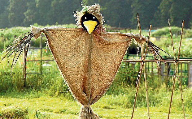 sean_mcclancy's tweet photo. #WARNING: #BreakingNews!
Scarecrow kills man...
Gotta read it to believe it
 #xxx #fuckedup
#dangerous #horny #news https://t.co/CEEHIIHbaY