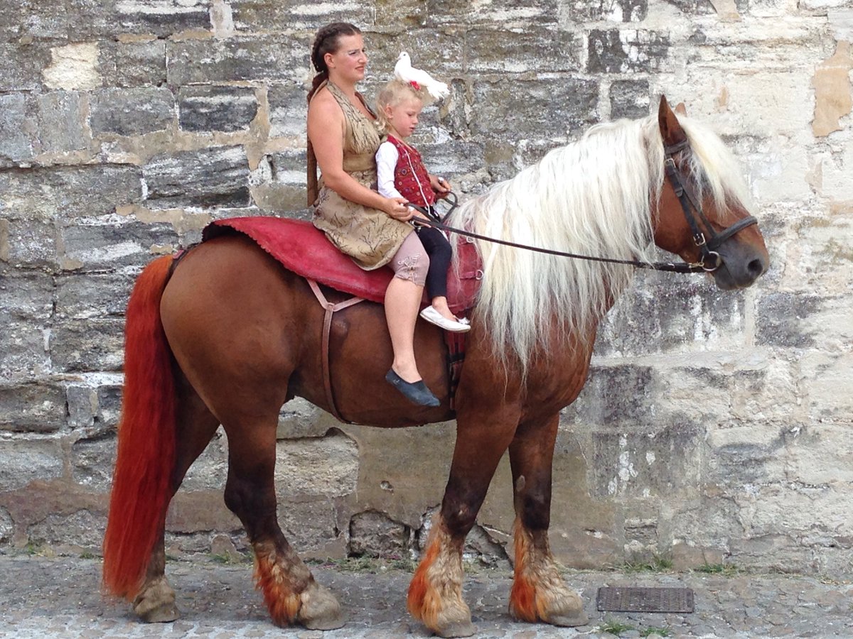 Closing Day <a href="/festival/">Festival Pants</a> d'avignon #Avignon #gaasbeek