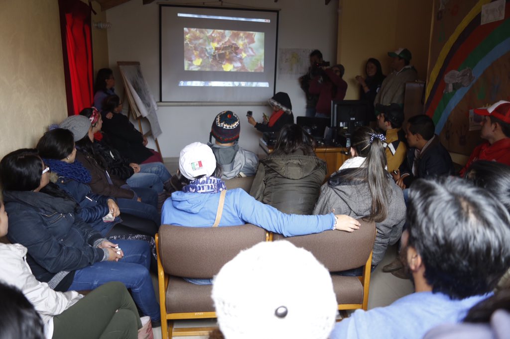 GobBoyaca's tweet photo. #AEstaHora en #Socha se realiza la charla logística para el trabajo de restauración ecológica del #ParamoDePisba https://t.co/8DfY54INKZ