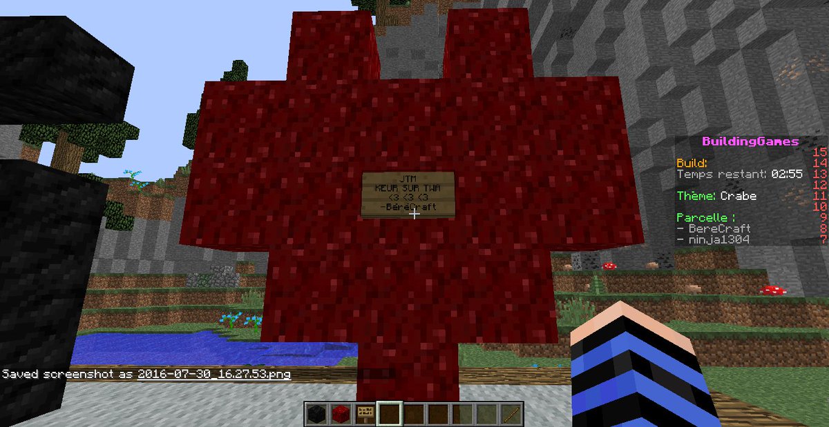 Berecraft's tweet photo. @KysosYT Désolé pour le troll :p https://t.co/x264qnxlXE