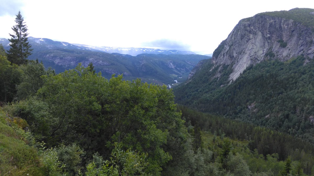 Bohemen_'s tweet photo. #Setesdalen fra Suleskarveien https://t.co/a5KSaUAP6I