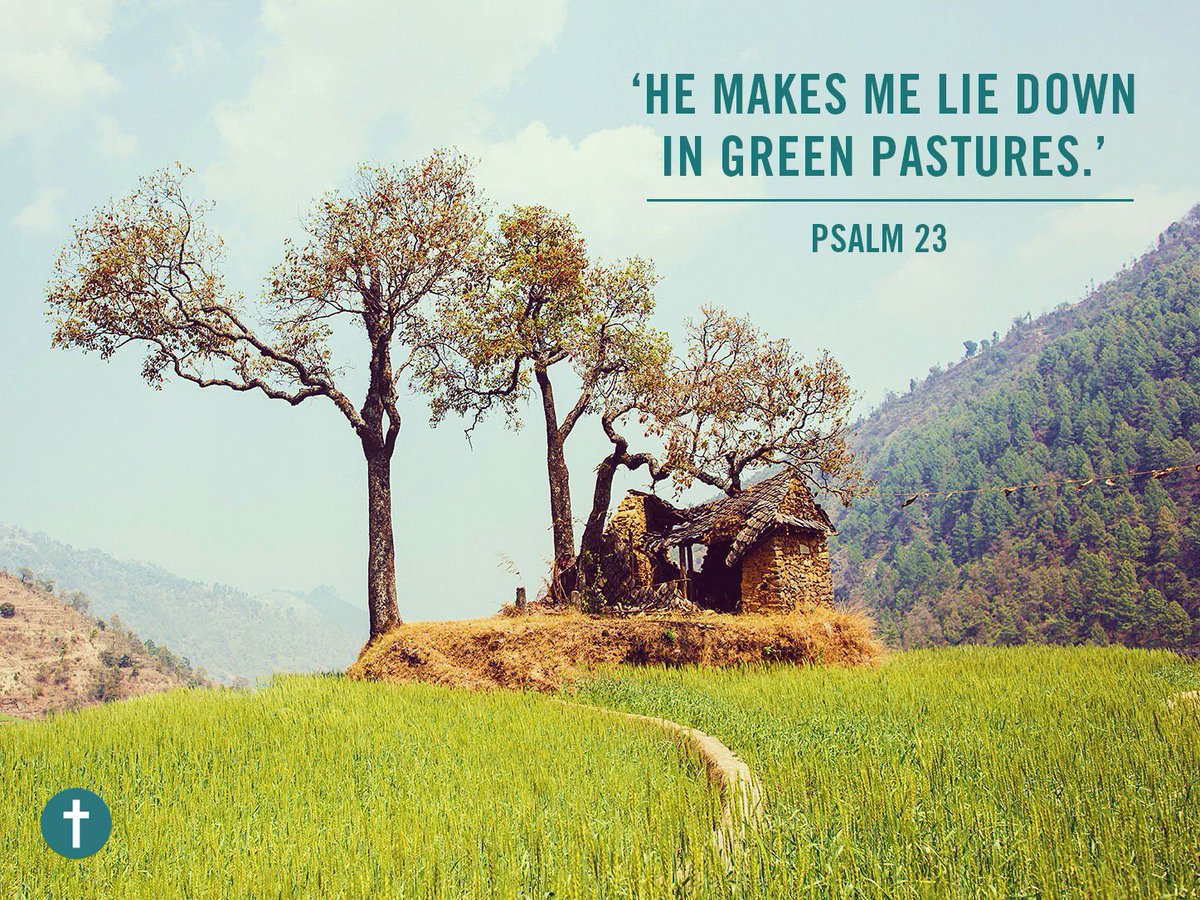 Tearfund tweet picture
