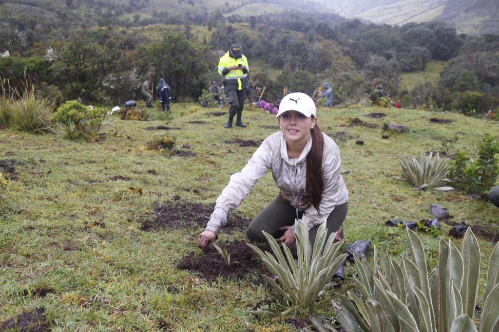 GobBoyaca's tweet photo. #LaUltimaEmboscada #ParamoDePisba jornada de recuperación ecológica https://t.co/wjtWh2jvTW