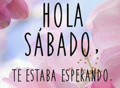 Aprovechen todos los tacos, chelas y tostadas en $20.