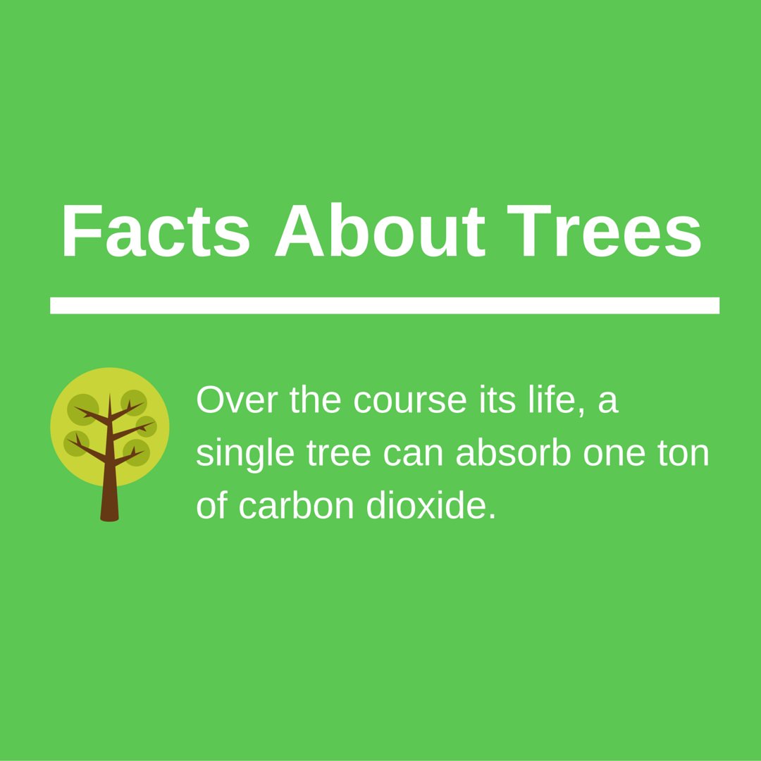 keepforests's tweet image. Share To Help Promote Awareness About Forest &amp;amp; Wildlife Conservation: KeepForests.com