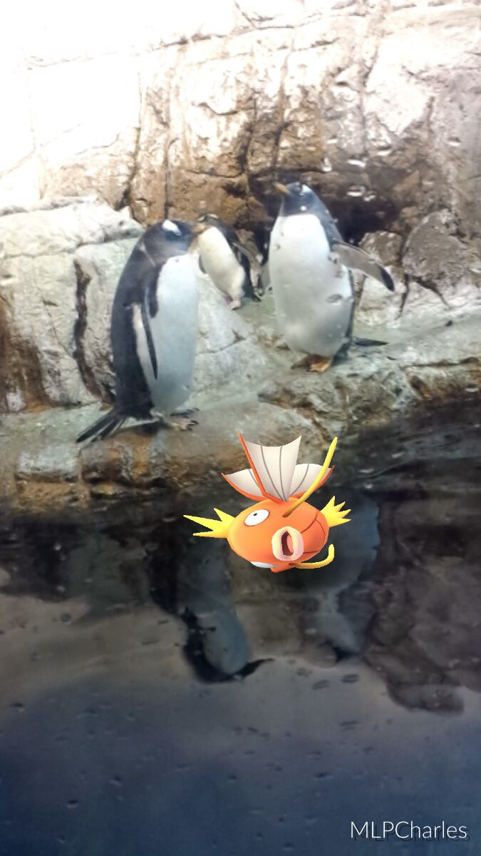UnseenWeeb tweet picture