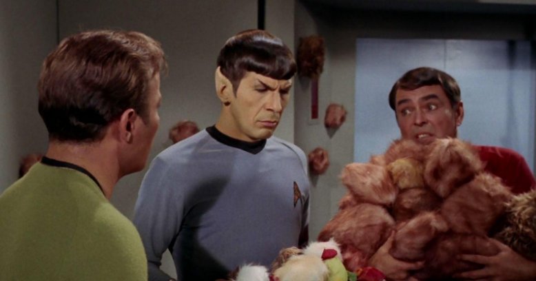 1701News's tweet photo. #WeekInReview: Lost #StarTrek footage to be revealed on Blu-ray ... https://t.co/cCZTjQoFUc https://t.co/SB2WHxTRs3