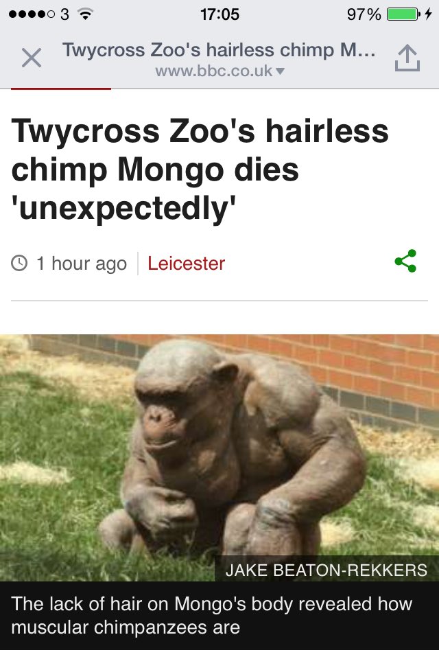 GurnelGaddafi's tweet image. Unexpectedly?! Smh 😪 the government covering up more Gorilla killings and u guys won&apos;t do shit. Damn son 
#RIPMongo