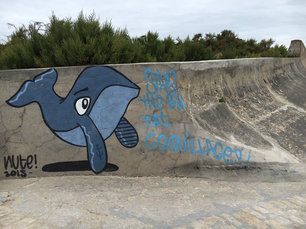 mithraaausen's tweet photo. Île de ré was nice https://t.co/l9Bplyq7Rx