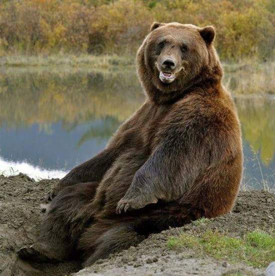 Just chillin  on my island..