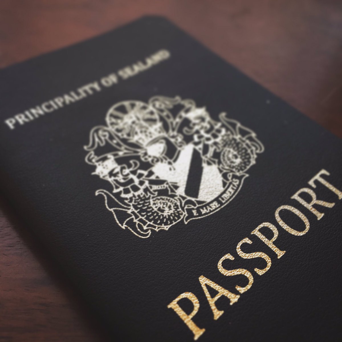 Image result for sealand passport