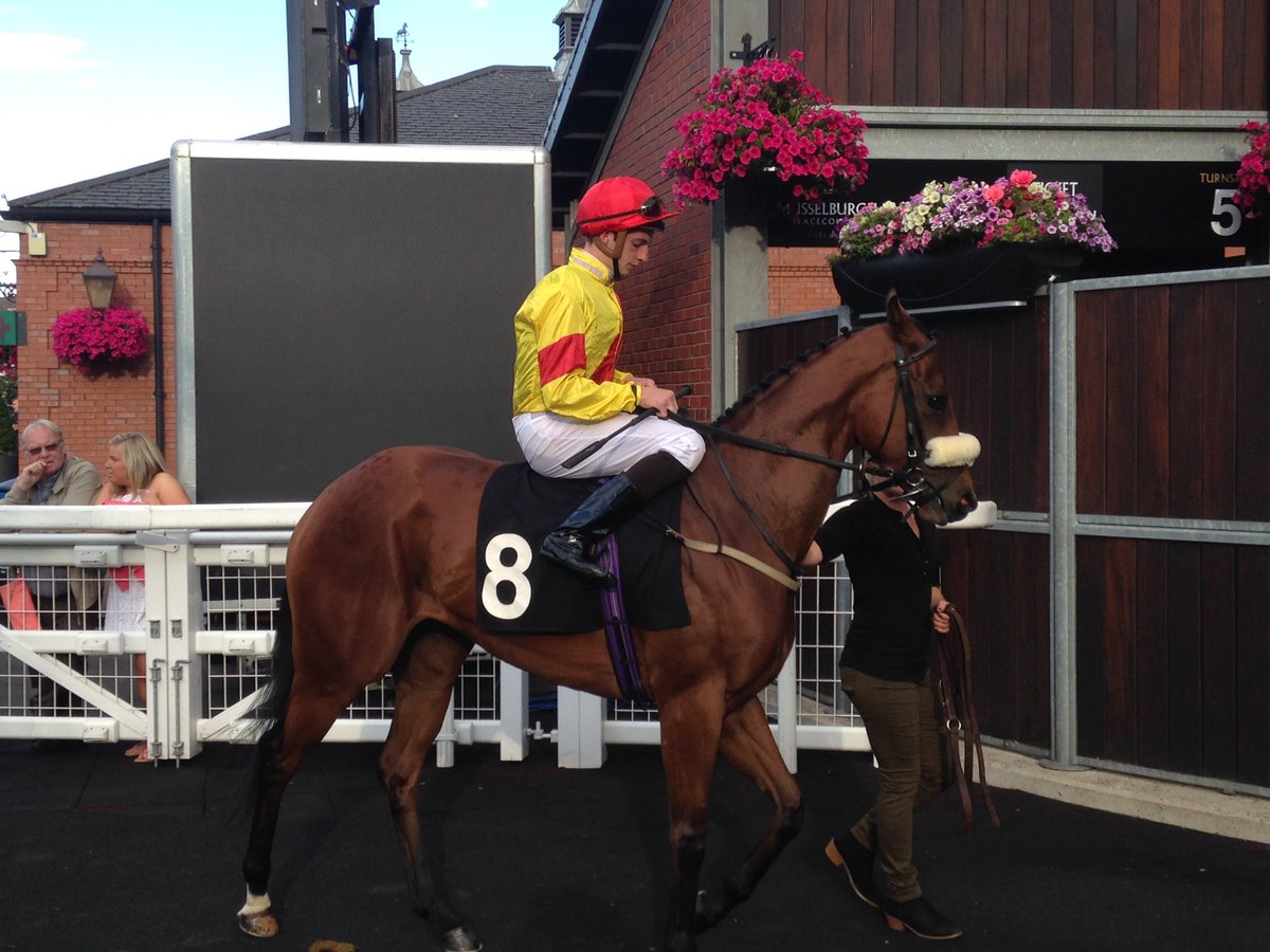 fourleggedtips's tweet photo. Jockey @robbiefitz92 in action @MusselburghRace on Friday evening for @RacingPinnacle #Unlucky https://t.co/9o8yLXGaqc