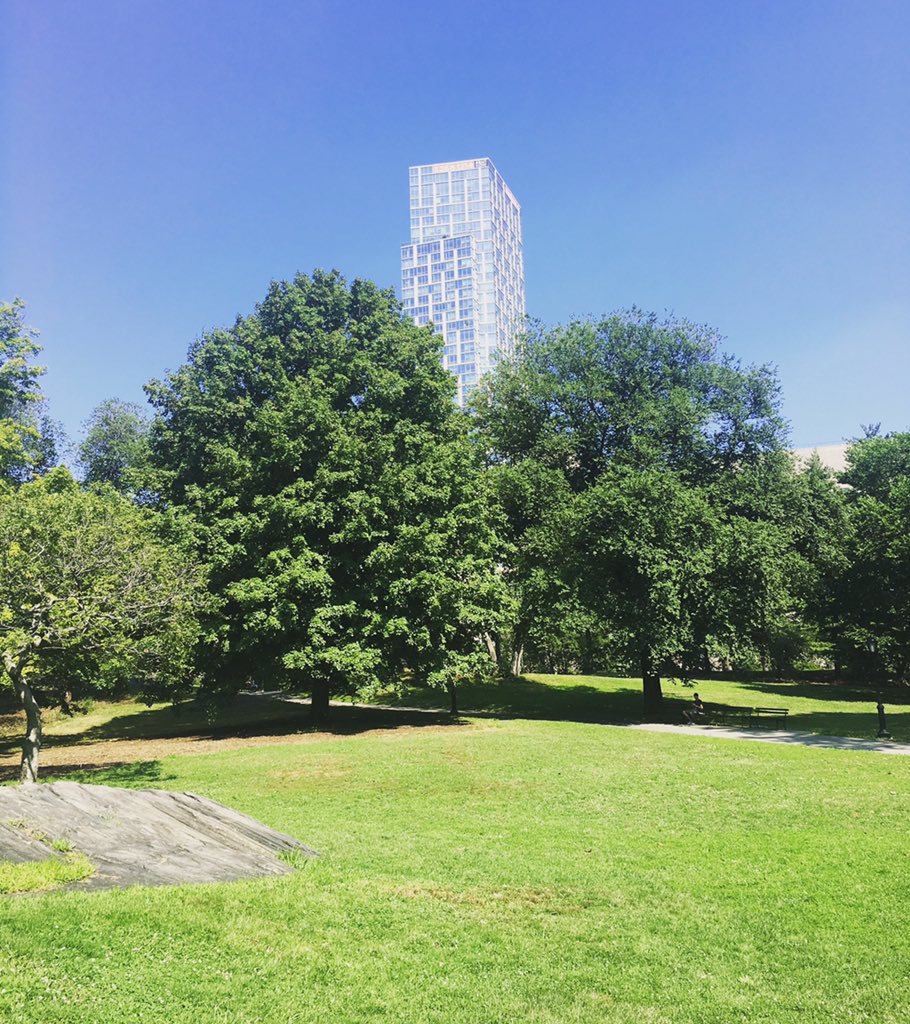 livecobu's tweet image. Weekend picnic views 😎🏢😎 #placemake #NYC #colivingtech #joindoorbell