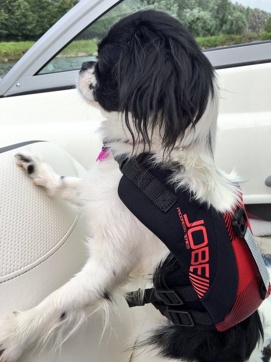 Trying out her new <a href="/JobeWatersports/">Jobe Sports</a> life jacket!