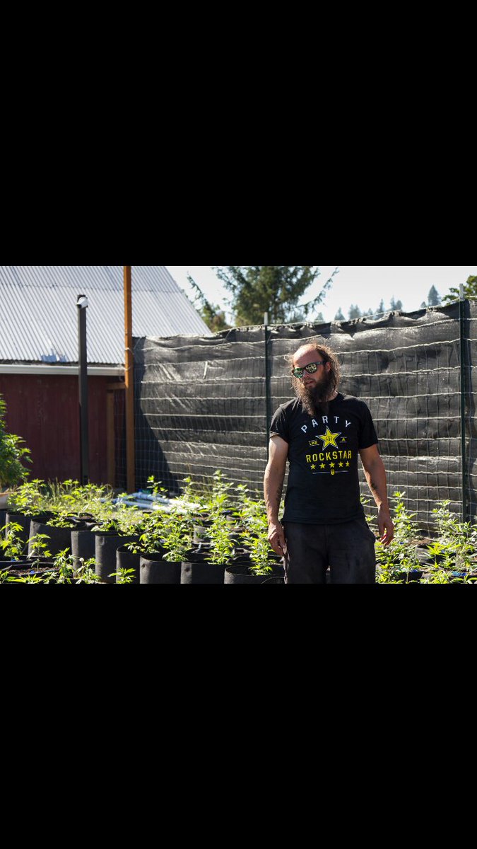 itchyribsbrand's tweet photo. Proud to be one of the first @rockstarenergy swag models marijuana growing #partylikearockstar #imtoosexyformyshirt https://t.co/Q7JNGBo6rL
