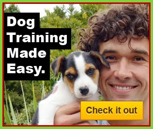 pet_hello's tweet photo. Online #Dog #Training – Expert Videos To Stop Dog Behavioural Problems! - https://t.co/ajWNNbe1EB #dogtraining #dogs https://t.co/5B2CVQ2RvL