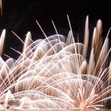 Tonight should be a MAGICAL #fireworks display by Walt Disney Co. <a href="/CelebOfLight/">Celebration of Light</a>  #hakunamatata #bringthemagic